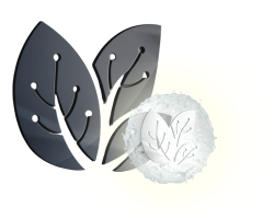 Transparent-Sciential-Logo-1.png